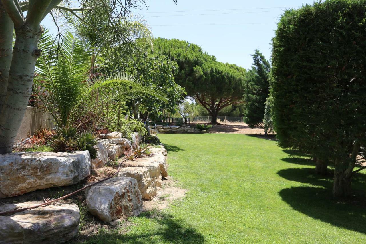Quinta Do Pinheiro Manso - Holidays Villa - Marinha Beach Carvoeiro  Zewnętrze zdjęcie