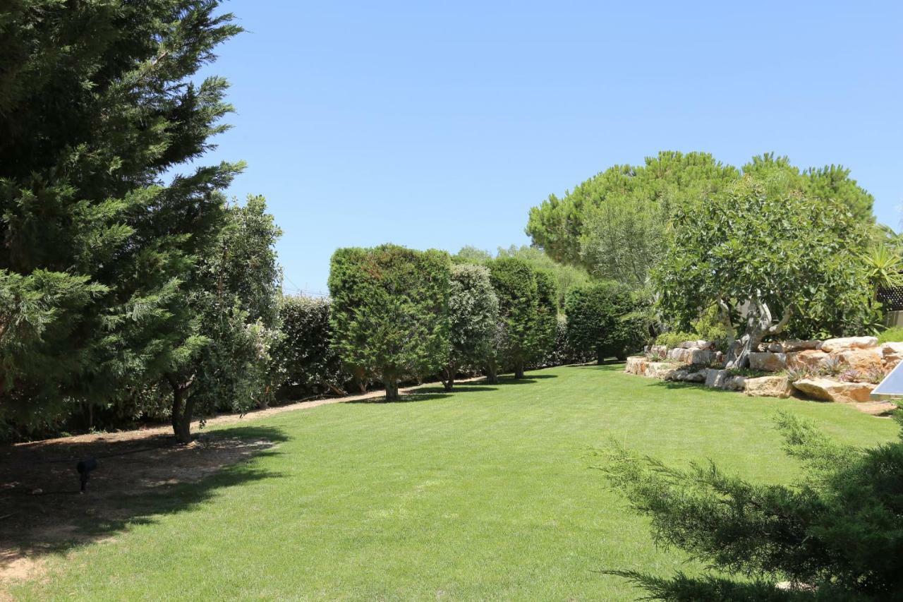 Quinta Do Pinheiro Manso - Holidays Villa - Marinha Beach Carvoeiro  Zewnętrze zdjęcie