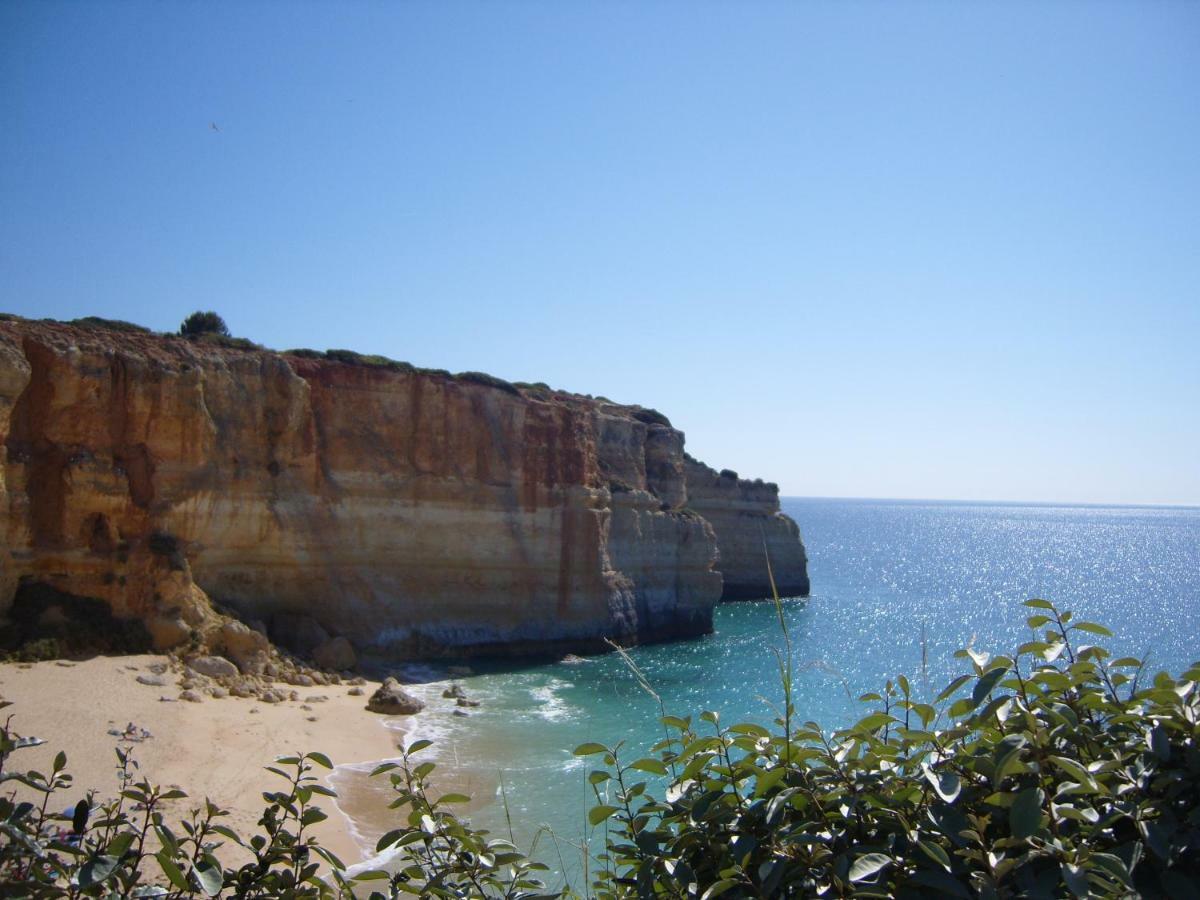 Quinta Do Pinheiro Manso - Holidays Villa - Marinha Beach Carvoeiro  Zewnętrze zdjęcie